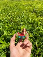 Uzuniba Plastik Çay Tepsili  Magnet
